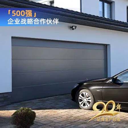 欧式别墅车库门